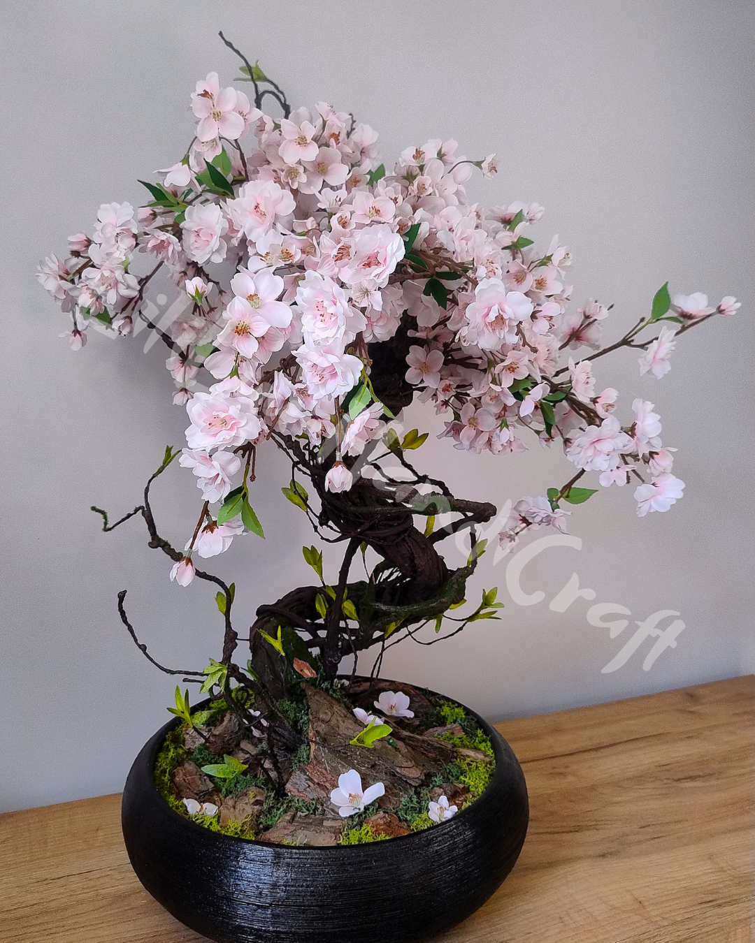 (DD5-14) Drzewko wiśni BONSAI