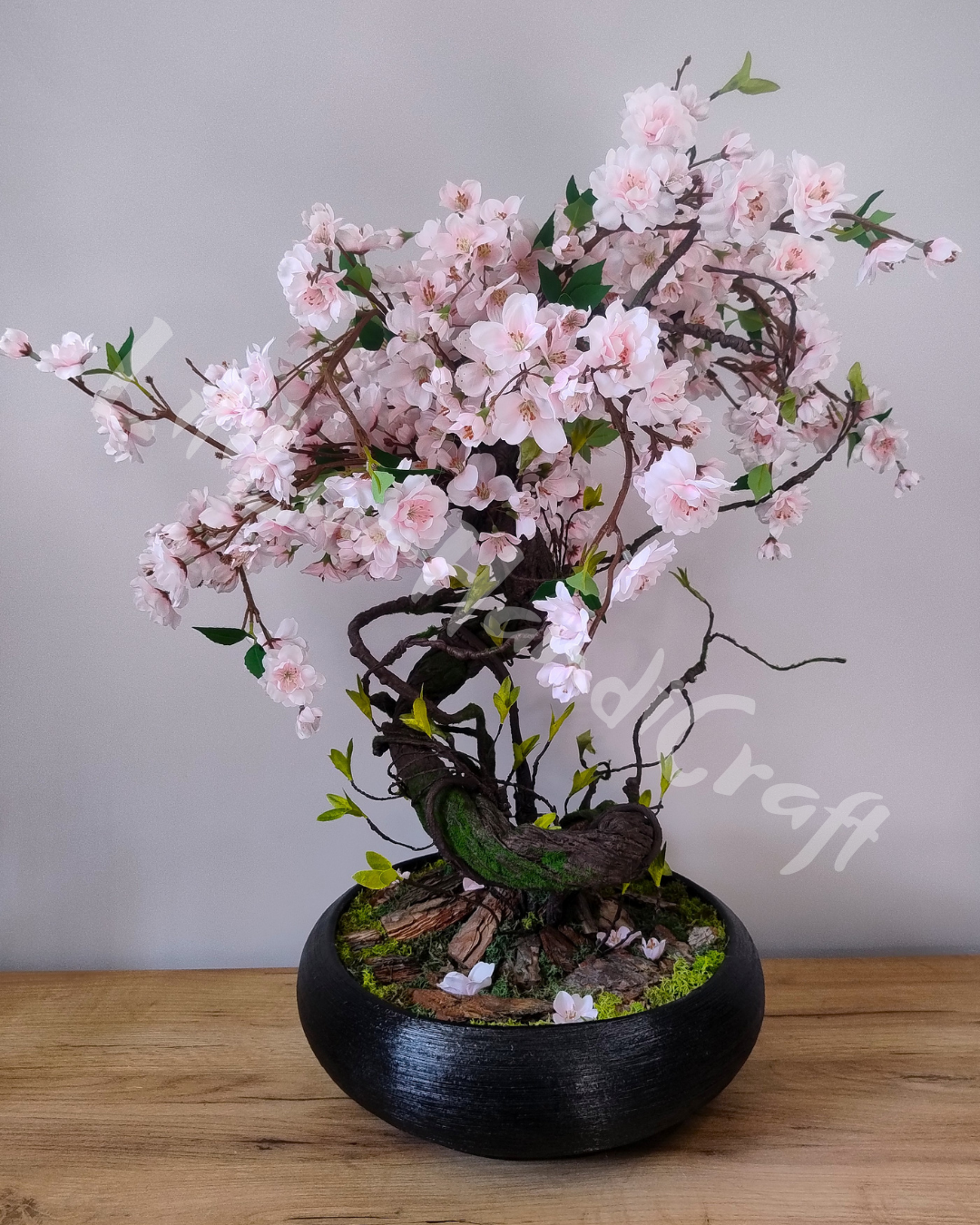 (DD5-14) Drzewko wiśni BONSAI