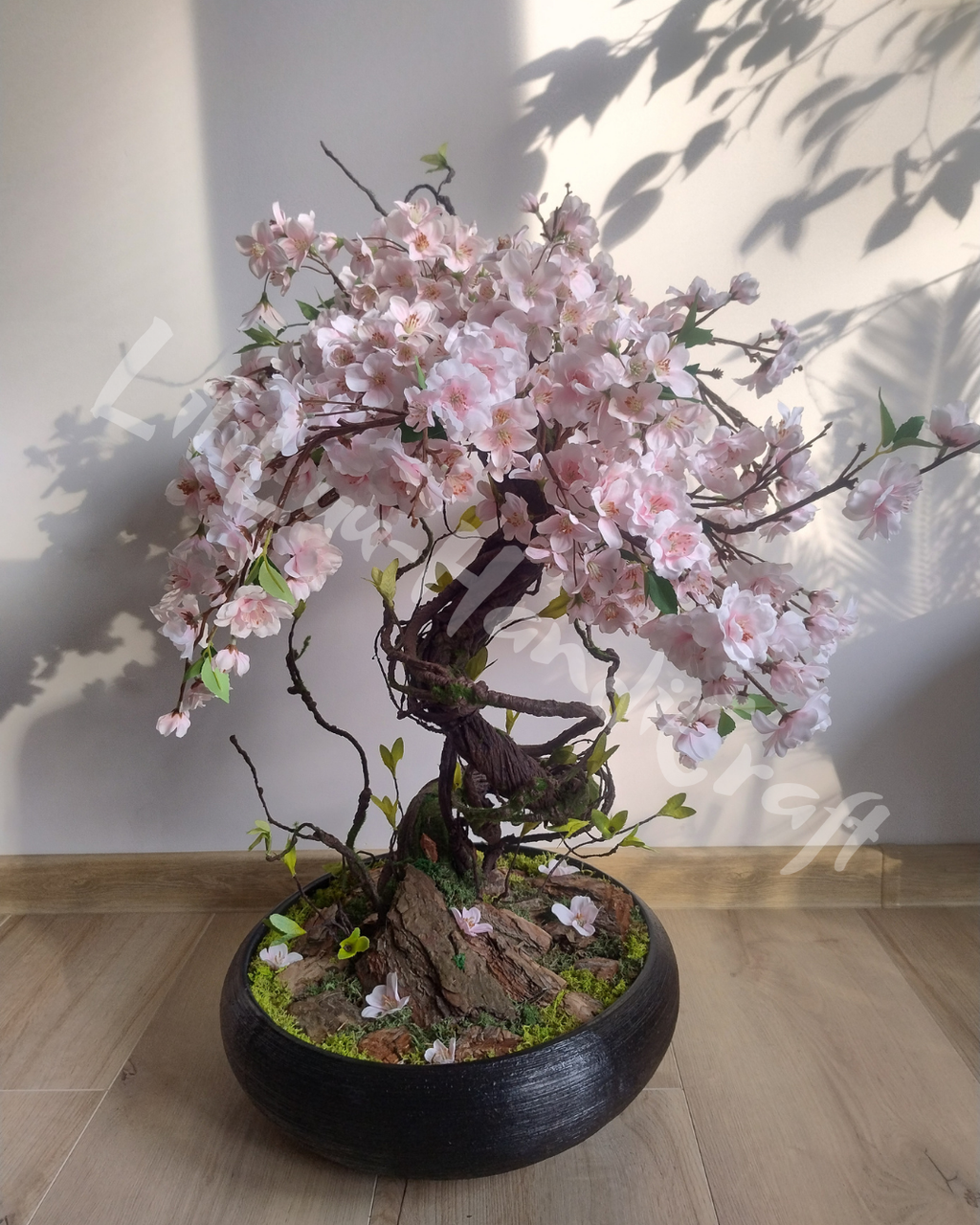 (DD5-14) Drzewko wiśni BONSAI