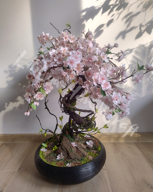 (DD5-14) Drzewko wiśni BONSAI