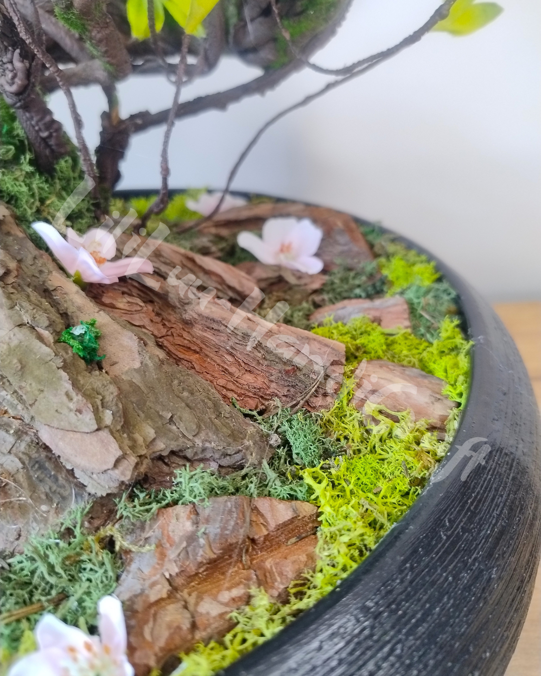 (DD5-14) Drzewko wiśni BONSAI