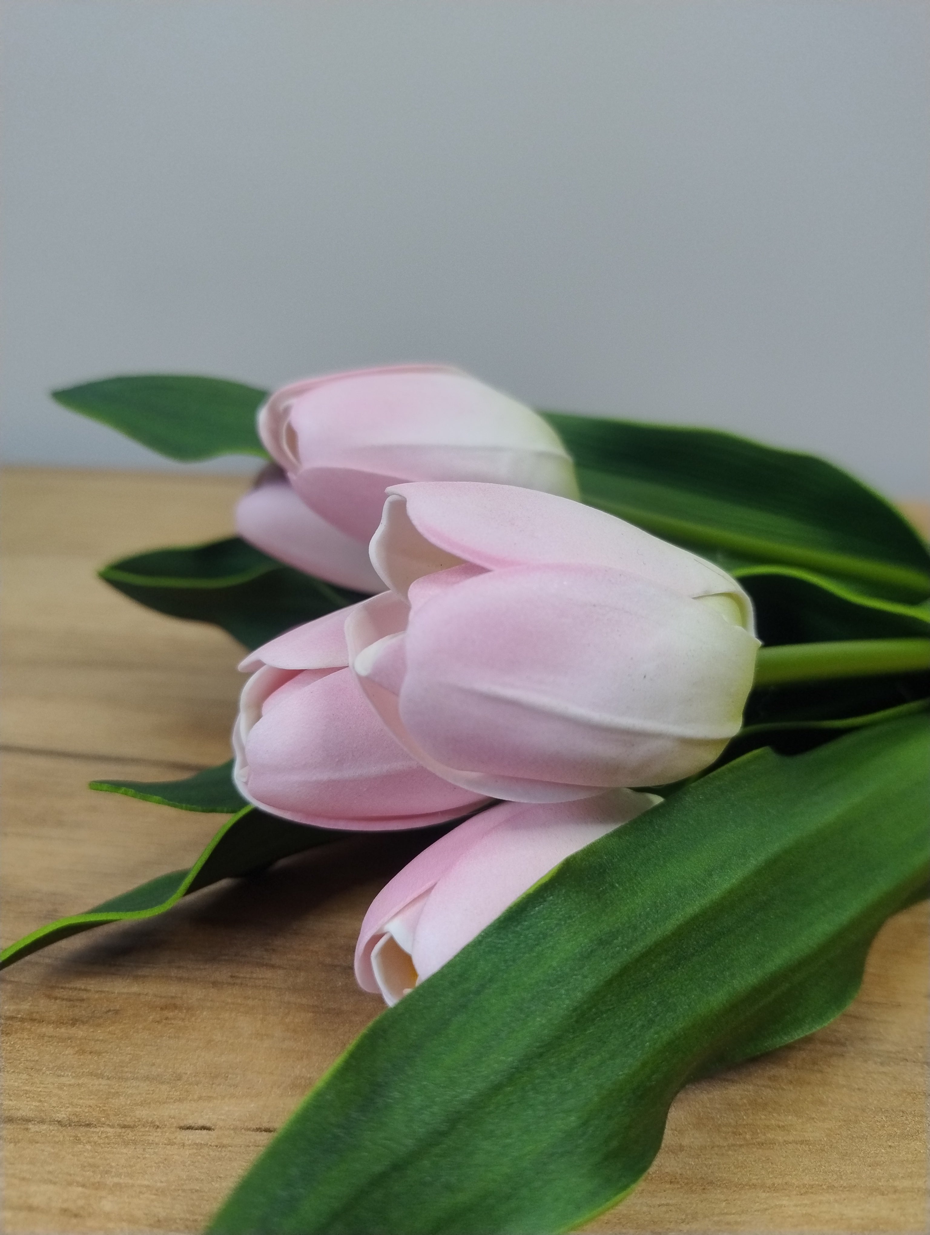 (TA1202-7) Bukiet tulipanów piankowych